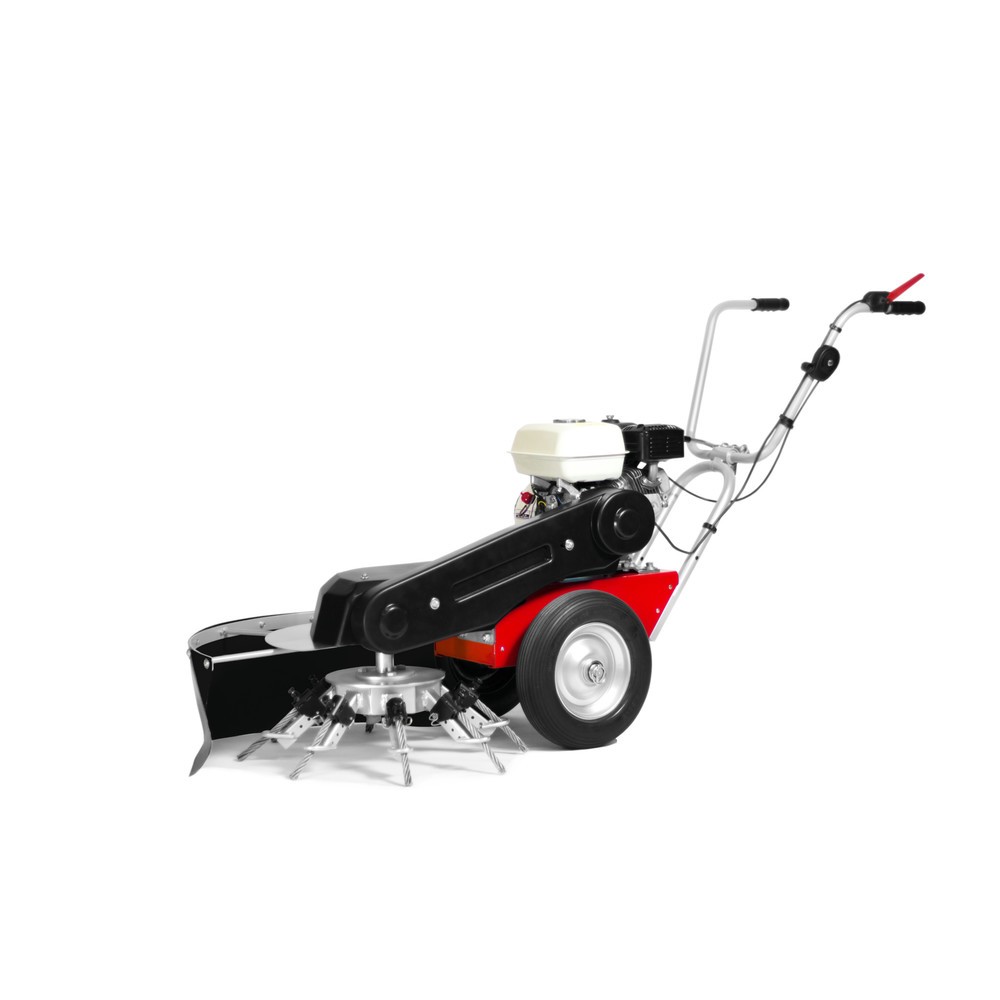 Limpar Wildkrautbürste Taifun II, Honda GP 160 OHV, Arbeitsbreite 650 mm