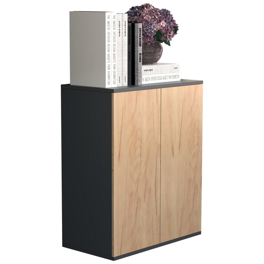 VCM Büroschrank Dalosa 2-Fach, Honig-Eiche