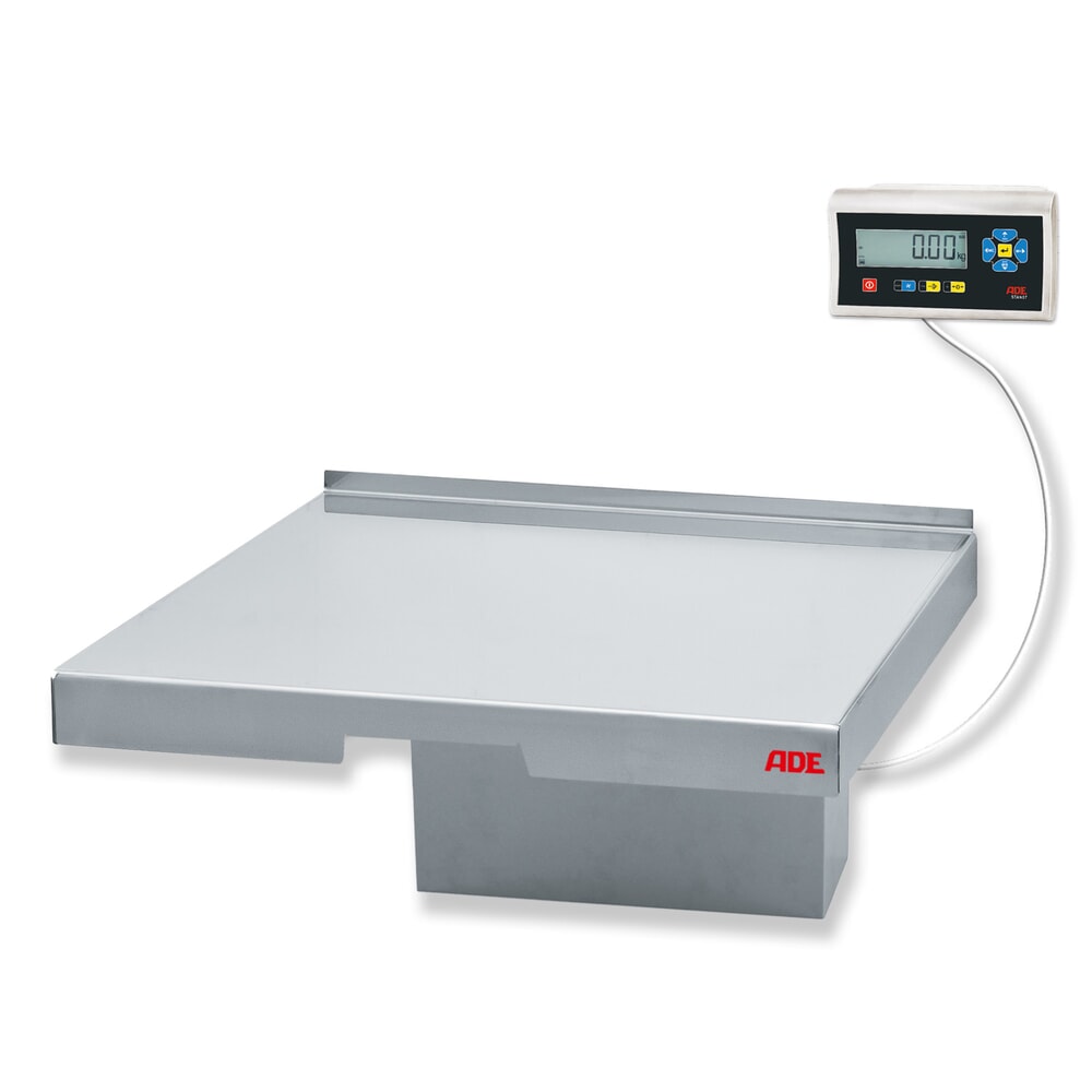 ADE Wandwaage TerrexL-60e+STAN07, geeicht