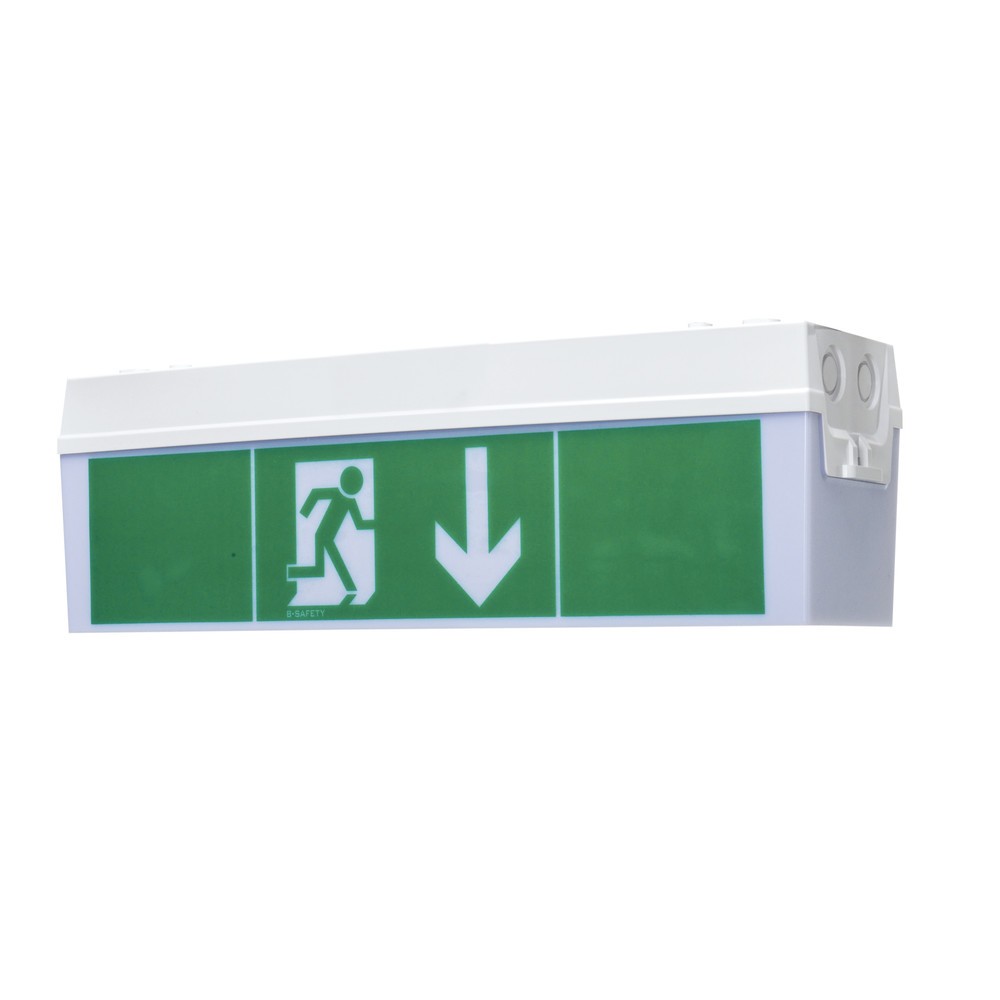 B-Safety Rettungsleuchte Basic, Wand- und Deckenmontage, Schutzklasse II, IP 54