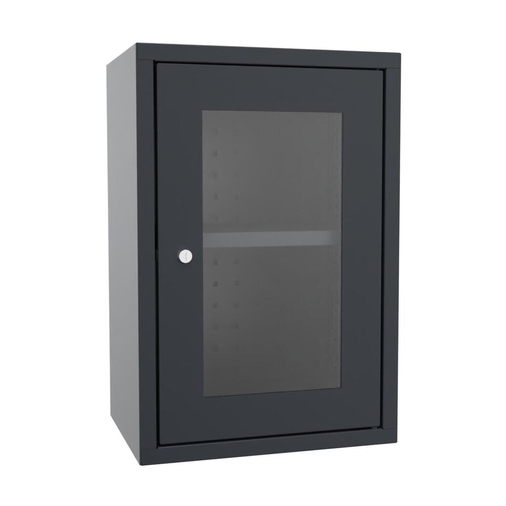 PAVOY Hängeschrank mit Sichtfenster, HxBxT 600 x 400 x 300 mm, Lochrückwand, anthrazitgrau, anthrazitgrau