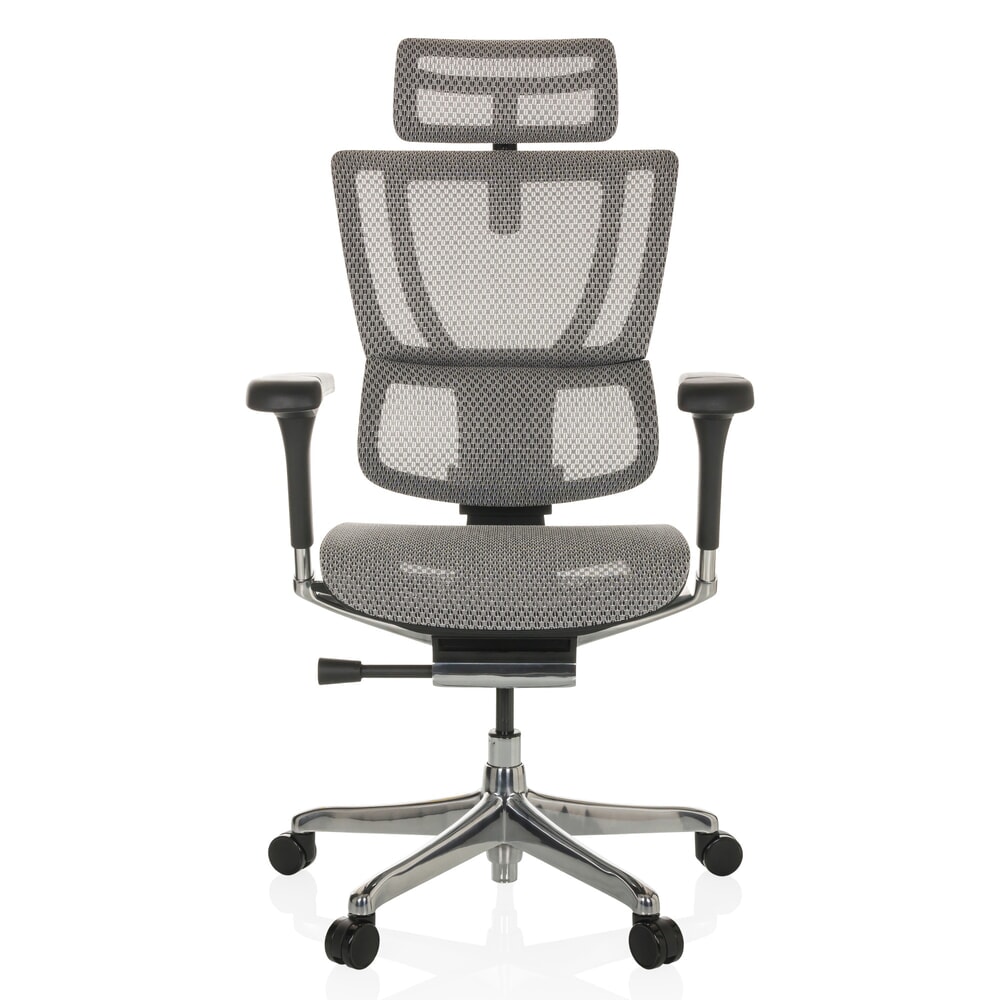 hjh OFFICE Chefsessel ERGOHUMAN SLIM GEN2, mit flexibler Rückenlehne, Tragkraft 150 kg, hellgrau, Armlehne schwarz
