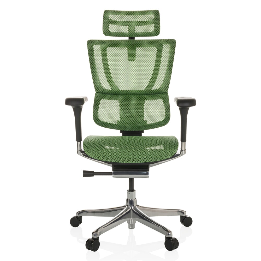 hjh OFFICE Chefsessel ERGOHUMAN SLIM GEN2, mit flexibler Rückenlehne, Tragkraft 150 kg, grün, Armlehne schwarz