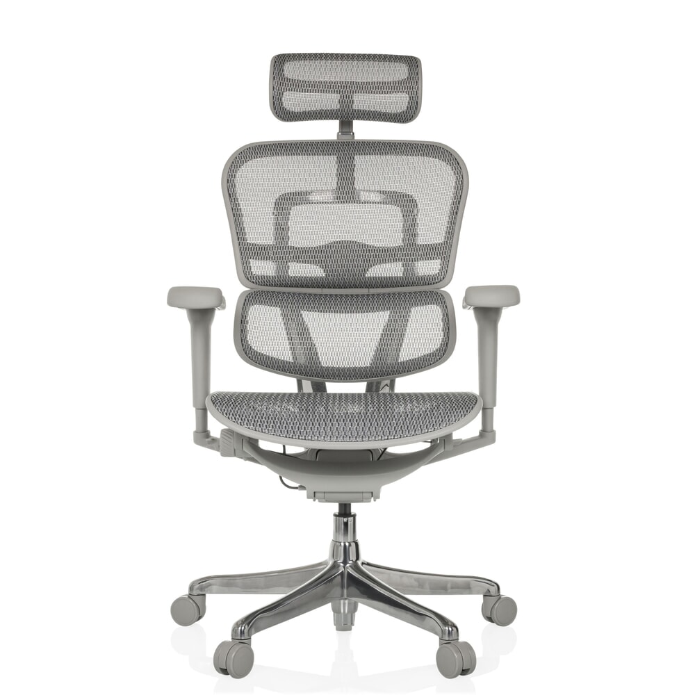 hjh OFFICE Chefsessel ERGOHUMAN ULTRA G GEN2, Netzrückenlehne, Tragkraft 120 kg, Sitzhöhe 460 580 mm, grau