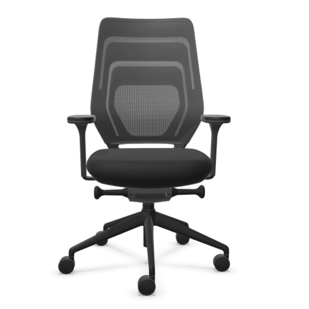 FM Büromöbel Schwerlast-Bürostuhl FM asiento, Synchronmechanik, 4D Armlehnen, Rückenlehne mit 3D-Strickgewebe, transparent bezogen, ohne Lordosenstütze, anthrazit