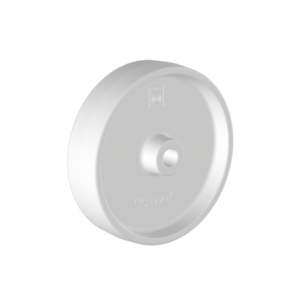 Wicke Polyamid-Rad Wicke, Gleitlager, Ø x Breite 125 x 38 mm, TK 300 kg