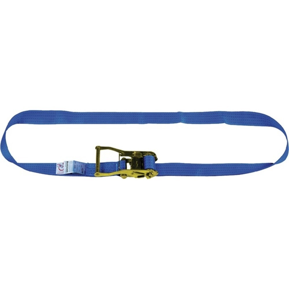 Dolezych Zurrgurt DIN EN 12195-2 Länge 5 m Breite 50 mm mit Ratsche